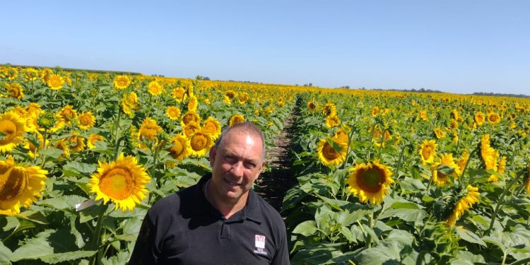 Erreguerena “el efecto de estas lluvias ha sido muy positivo”