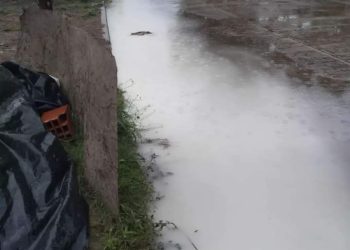 Un agua que viene muy bien para todo Necochea y el distrito