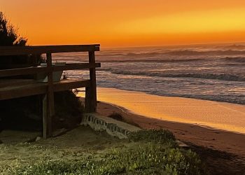 Mario Wilgenhoff : “las playas de Quequén son encantadoras…”
