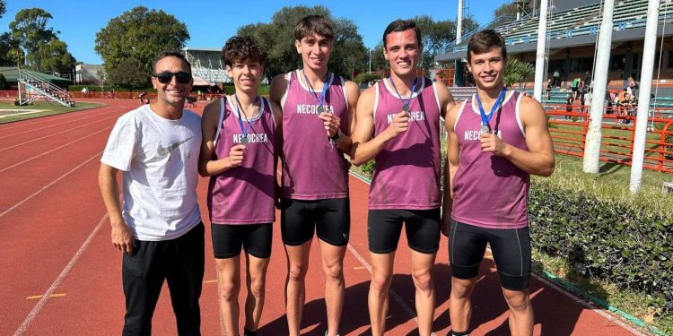 Necochea subcampeón Provincial por equipo, con rendimientos individuales de alto nivel.
