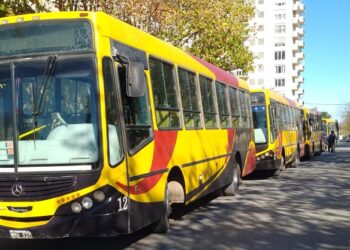 Por una ciudad mas inclusiva. Se presentaron unidades dotadas con rampas para personas con discapacidad .