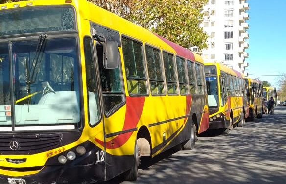Por una ciudad mas inclusiva. Se presentaron unidades dotadas con rampas para personas con discapacidad .
