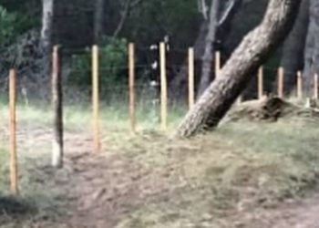 “El Club Villa del Parque no ha alambrado ningún sector del parque” remarcó enfaticamente, Pedro Raimondi, su Presidente.