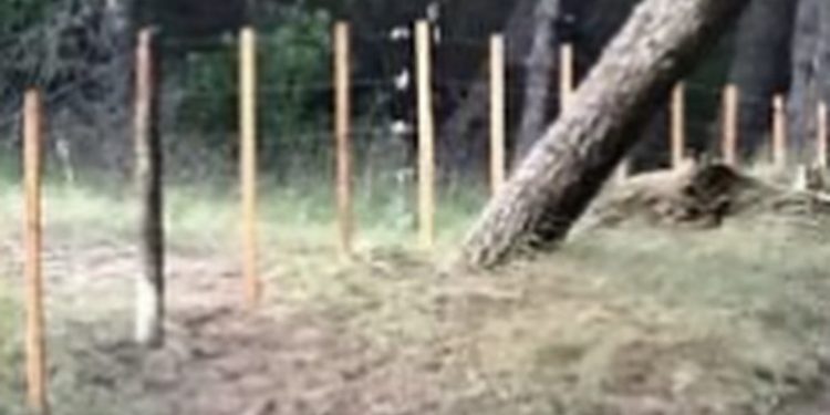 “El Club Villa del Parque no ha alambrado ningún sector del parque” remarcó enfaticamente, Pedro Raimondi, su Presidente.