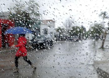 Lindo día para arrancar la semana