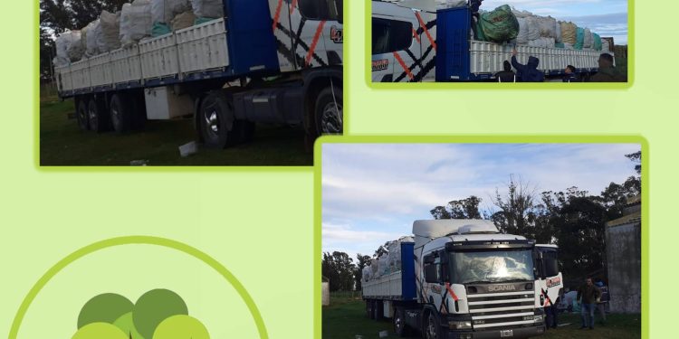 Gran gesto de un grupo de vecinos y vecinas de La Dulce