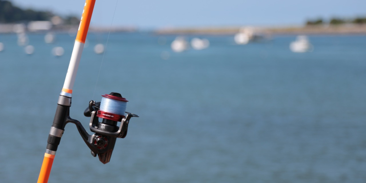 ¿Ganancia del pescador?. El análisis político delo que dejó el cierre de listas.