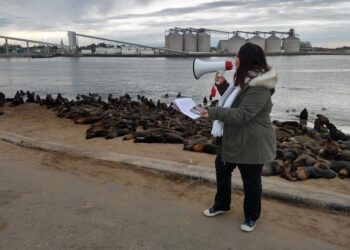 Las vacaciones de invierno se terminan con tres caminatas guiadas