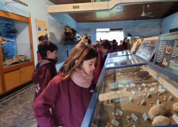 Alumnos del Colegio Alta Mira visitaron los museos del Parque Miguel Lillo