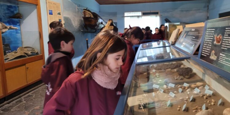 Alumnos del Colegio Alta Mira visitaron los museos del Parque Miguel Lillo