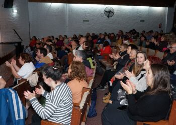 Numerosos artistas dieron vida al cierre del programa inclusivo ParticipArte