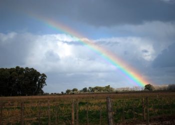 El Niño empezaría a dar señales en primavera. Se espera que para la primavera las lluvias sean superiores