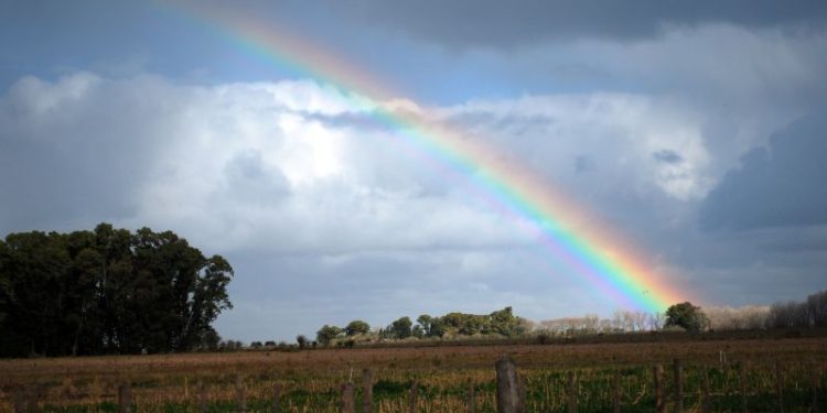 El Niño empezaría a dar señales en primavera. Se espera que para la primavera las lluvias sean superiores