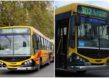 Las empresas de transportes piden que se revean el valor del colectivo rápidamente