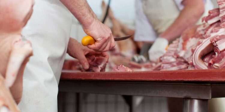 Recomendaciones de Bromatología ante casos de Triquinosis en Tres Arroyos