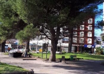 29 de agosto. Día Nacional del árbol.