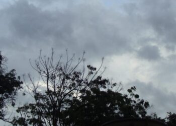 Cielo gris y fresco