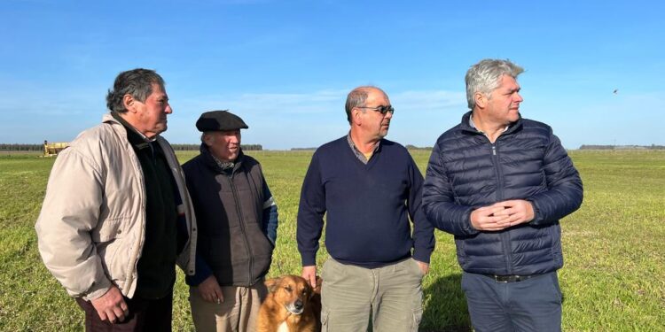 Mauro Velázquez, con el campo en su agenda de campaña, visitó productores en Santamarina