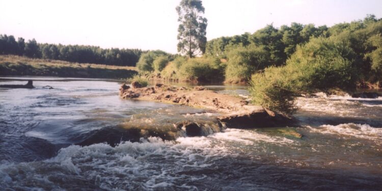 Despejado y con linda temperatura