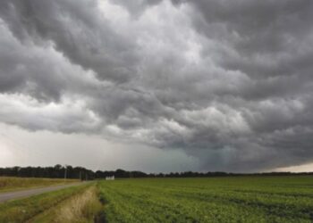 “Las lluvias se van a ir normalizando en forma escalonada a partir de la primavera”