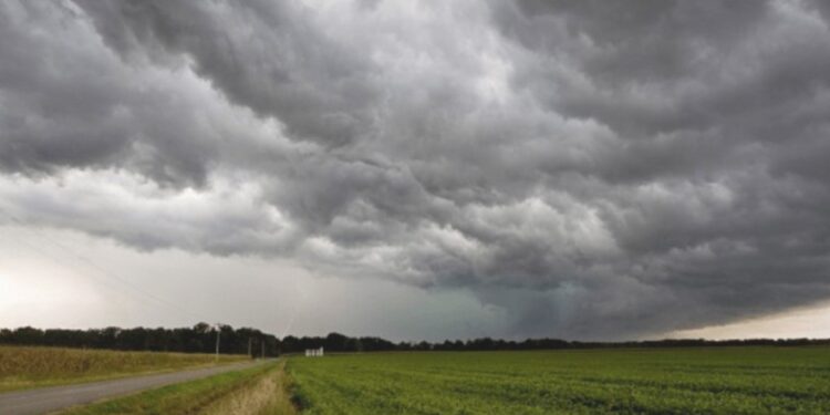“Las lluvias se van a ir normalizando en forma escalonada a partir de la primavera”