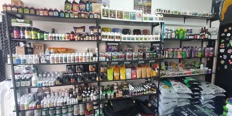 Mar del Plata: Las tiendas de cultivo de cannabis ya no tendrán dificultades para la habilitación comercial