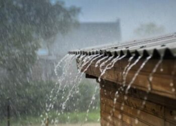 Llegó la primavera ¿Con lluvias?