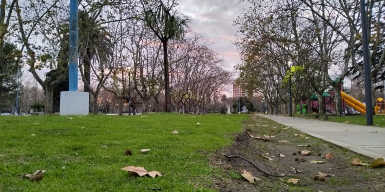 Arranca fresquita la semana