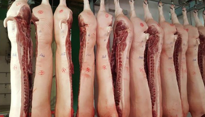 Triquinosis en la provincia: informan un nuevo brote y los contagios ascienden a 219