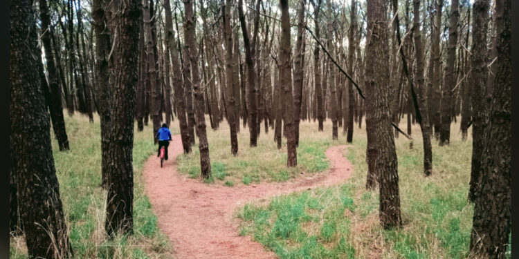  Presentación del Proyecto de Ley de protección al “Parque Miguel Lillo”.