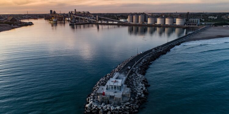 Gripe Aviar: Se reabrió la escollera Norte