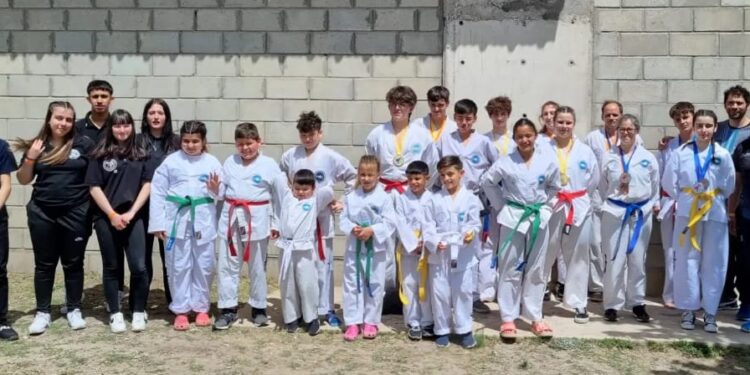 La integración Provincial brilló en el torneo regional de Taekwondo