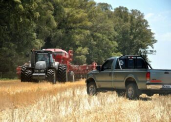 Falta combustible, el campo no puede sembrar y peligra la cosecha de verano