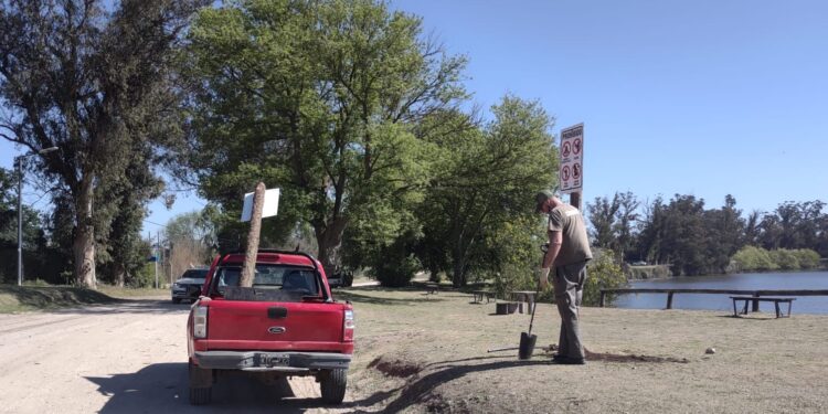 El servicio de Guardaparques trabaja en el paseo de la ribera