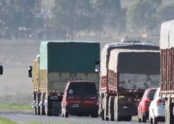 Zona núcleo: el trigo sale a las rutas y se dirige a los puertos del Gran Rosario