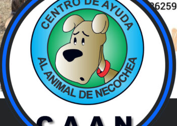 El CAAN aclara luego de verse involucrado en un informe periodistico
