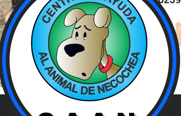 El CAAN aclara luego de verse involucrado en un informe periodistico