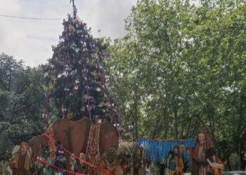Se encienden las luces del Árbol de Navidad de la Plaza