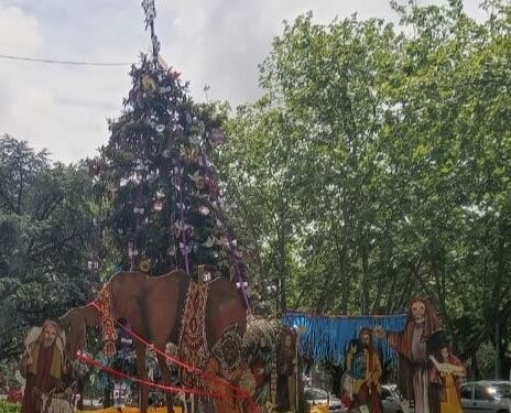 Se encienden las luces del Árbol de Navidad de la Plaza