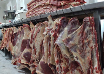 Gabriel Vallejos “Estamos complicados con los precios de la carne, todos los días cambia y se hace muy difícil trabajar”