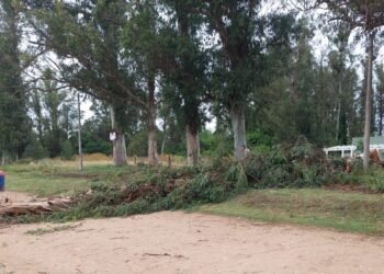 El temporal que azotó Necochea, dejó arboles caídos, voladura de techos y anegamientos. Muchos postes y cables de energia eléctrica cortados