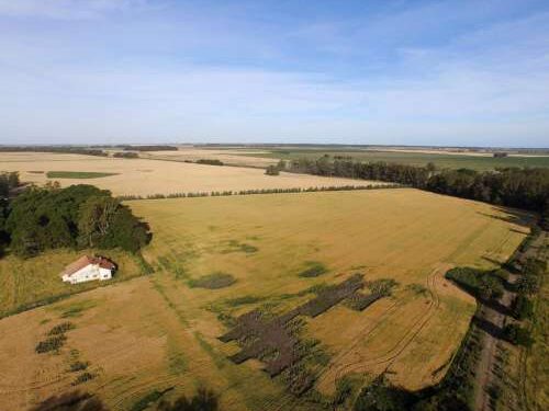 Una nueva medida del Gobierno suma tensión en la relación con el campo