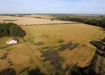 Una nueva medida del Gobierno suma tensión en la relación con el campo