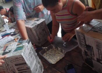 Jóvenes y adultos con discapacidad juegan y aprenden con las actividades de verano en el Polideportivo