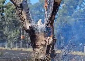 Se mantiene el alerta por altas temperaturas y riesgos elevados de incendio