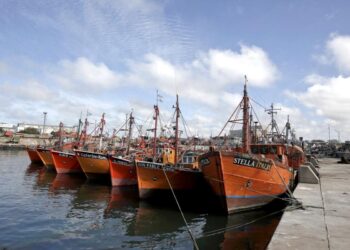 Rechazan “enérgicamente” los nuevos cambios propuestos para la Ley de Pesca