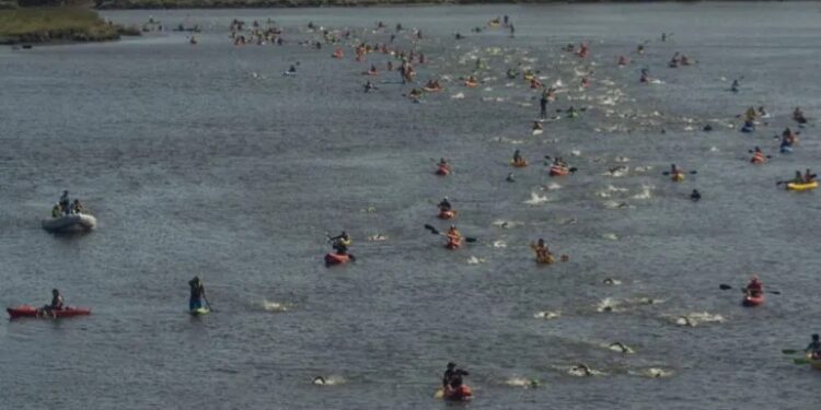 NATACIÓN. El domingo se correrá la Copa Club Huracán