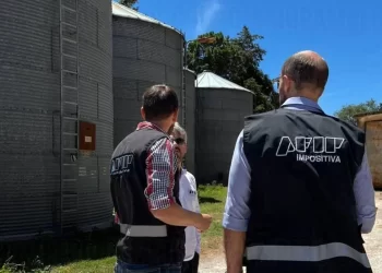El acopio clandestino detectado por AFIP no fue en Tres Arroyos, sino en Indio Rico