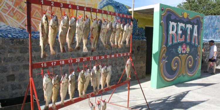 Los concursos de pesca que se vienen en la zona