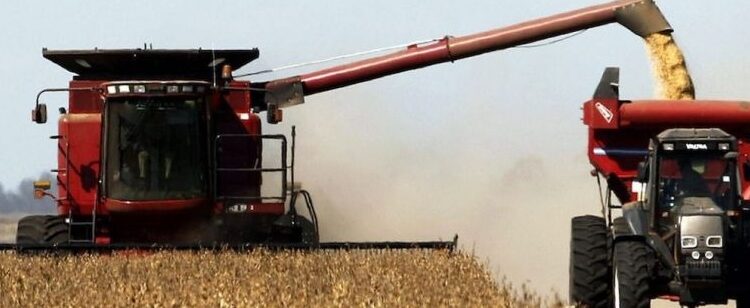 Se dio por finalizalizada hoy la cosecha de granos finos de la campaña 2023-24 (trigo y cebada). Por Mario Tambascia